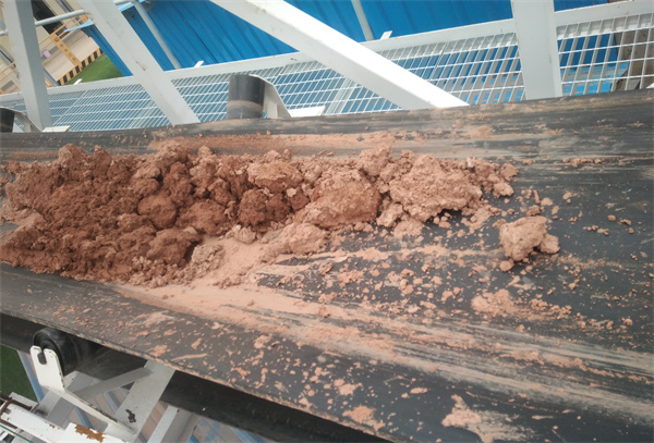 20230724/64be3793386af.jpg IMG_20200101_093116.jpg